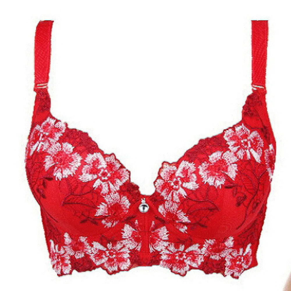 Embroidery Bra for Women Sexy Push Up Brassiere C D Cup Underwear