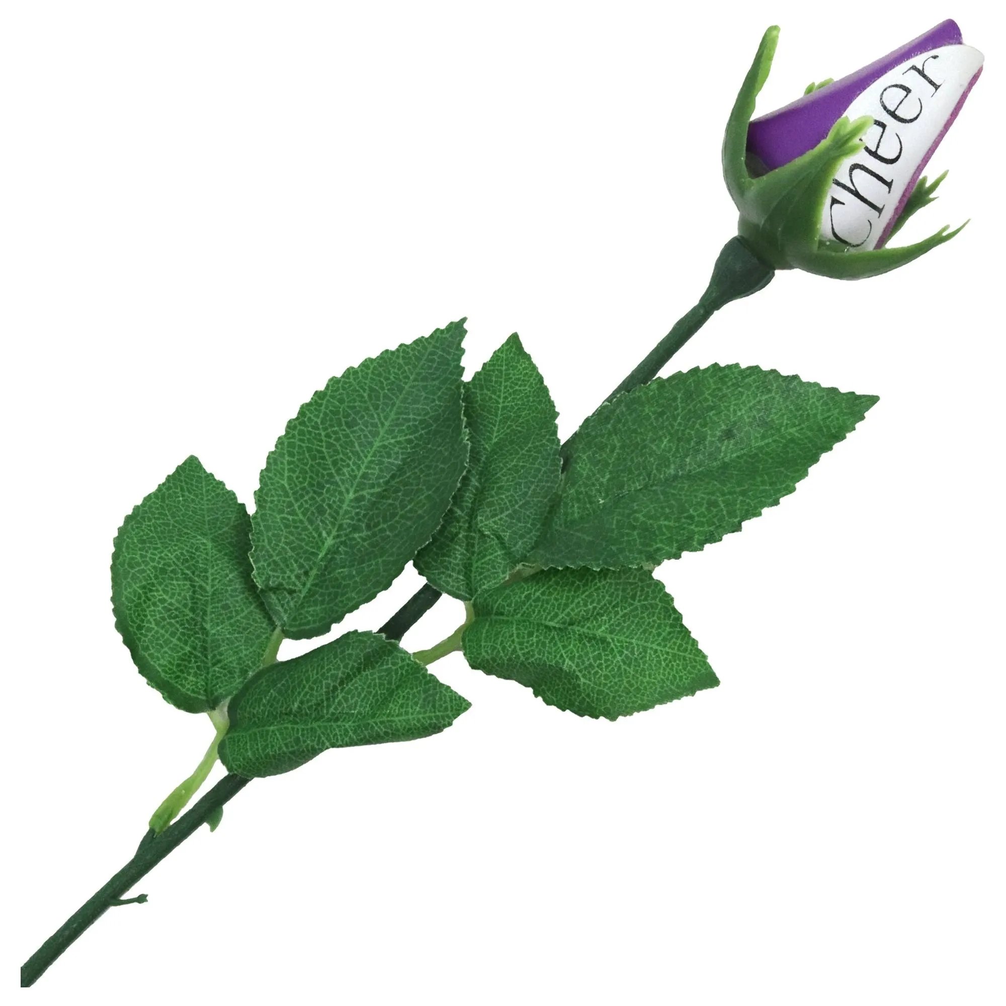 Purple Cheer Sports Rose