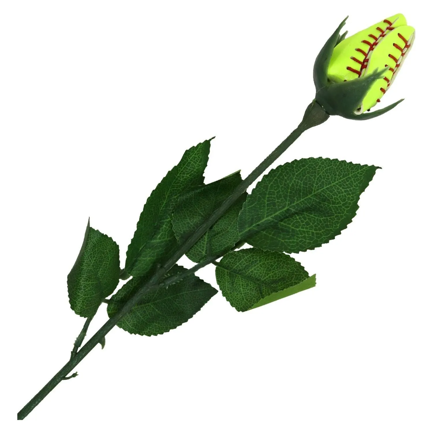 Softball Sports Rose